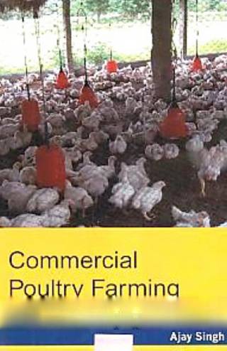 commercial poultry farming